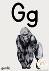 Alphabet Posters | MODERN JUNGLE | Editable Classroom Decor - Miss Jacobs Little Learners
