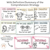 Daisy Gingham Pastels Decoding Reading Strategies Posters - Miss Jacobs Little Learners