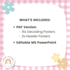 Daisy Gingham Pastels Decoding Reading Strategies Posters - Miss Jacobs Little Learners