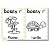 Daisy Gingham Pastels Phonics Posters - Miss Jacobs Little Learners