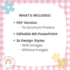 Daisy Gingham Pastels Synonym Posters - Miss Jacobs Little Learners