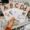Modern Boho Plants Alphabet Posters | Rustic Boho Classroom Decor - Miss Jacobs Little Learners