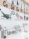 Modern Boho Plants Alphabet Posters | Rustic Boho Classroom Decor - Miss Jacobs Little Learners