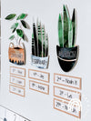 Modern Boho Plants Birthday Display | Rustic Boho Classroom Decor | Editable - Miss Jacobs Little Learners