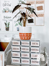 Modern Boho Plants Teacher Toolbox Labels | Editable Rustic Neutral Decor - Miss Jacobs Little Learners