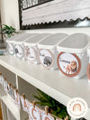 MODERN JUNGLE Classroom Decor Bundle - EDITABLE - Miss Jacobs Little Learners