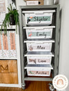 MODERN JUNGLE Classroom Decor Bundle - EDITABLE - Miss Jacobs Little Learners