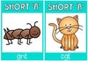 Phonics Posters | Rainbow Theme - Miss Jacobs Little Learners