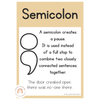 Punctuation Posters | Australiana Classroom Decor | Australian Flora and Fauna | Miss Jacobs Little Learners | Editable