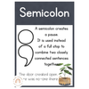 Punctuation Posters | Rustic BOHO PLANTS decor - Miss Jacobs Little Learners