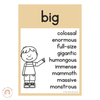 Synonym Posters | Australiana Classroom Decor | Australian Flora and Fauna | Miss Jacobs Little Learners | Editable