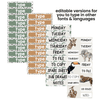 Teacher Trolley Labels | MODERN JUNGLE | Editable Decor - Miss Jacobs Little Learners