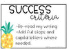 Visible Learning Display | Tropical Theme - Miss Jacobs Little Learners